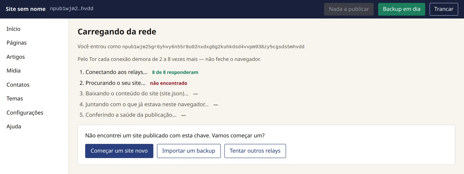 O painel procura o site na rede, diz que não encontrou nenhum com esta chave e oferece o botão "Começar um site novo".