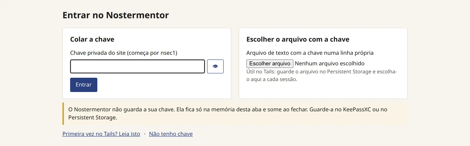 A tela de entrada do painel: colar a chave, escolher o arquivo com a chave e, embaixo, o link "Não tenho chave".